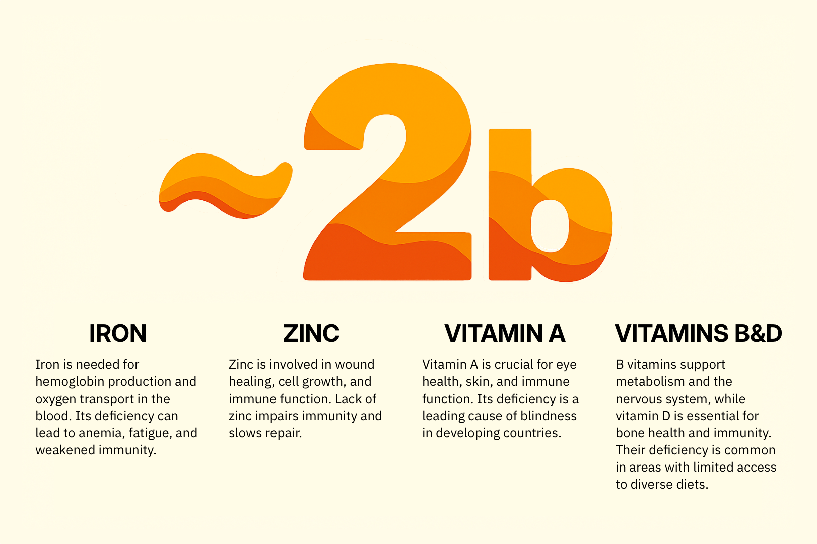 Nutrient information - Iron, Zinc, Vitamin A, and Vitamins B&D with their benefits and deficiency impacts
